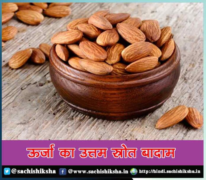 Almond - badam ke fayde - Sachi Shiksha