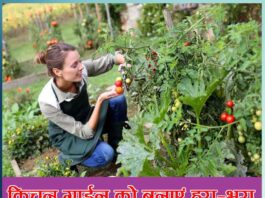 kitchen gardening tips in hindi - Sachi Shiksha