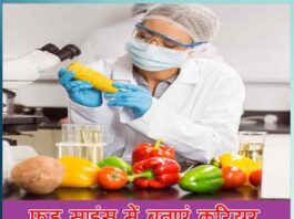 Career in food science and technology - Sachi Shiksha