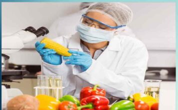Career in food science and technology - Sachi Shiksha