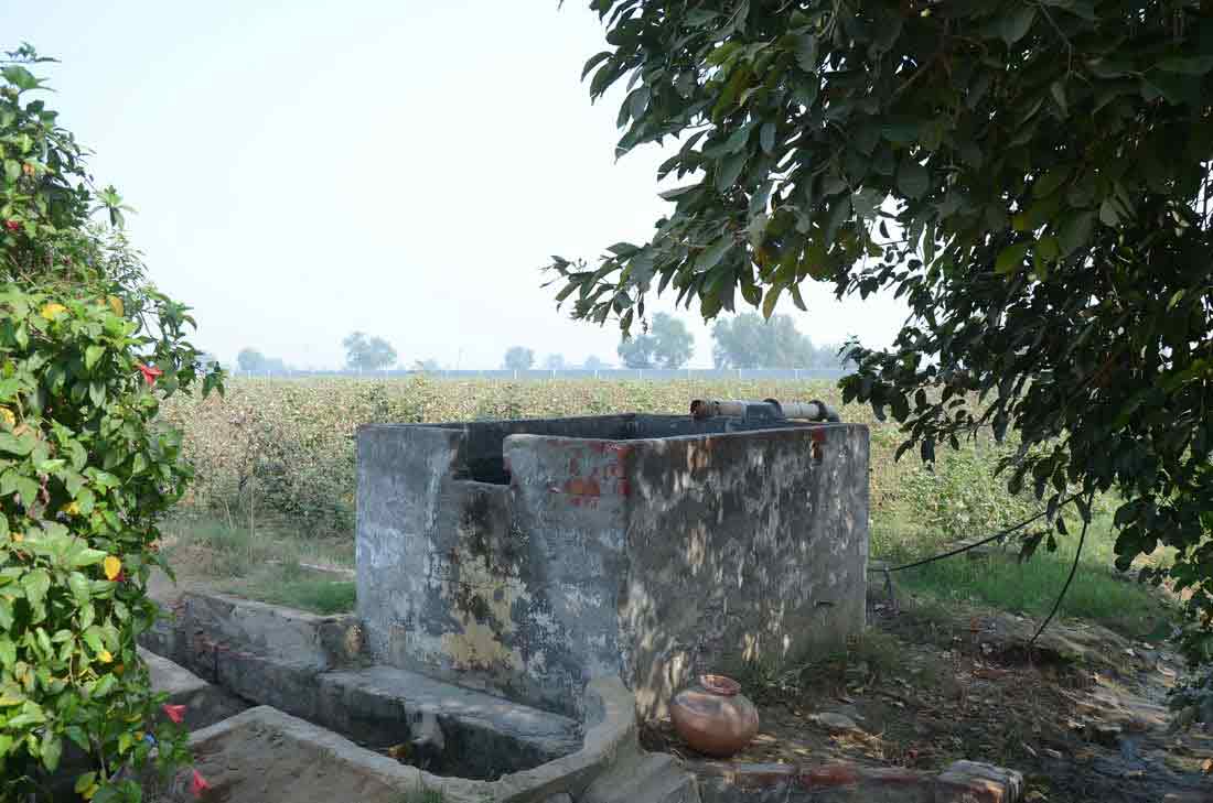 View of horticulture and tubewells in the ashram - Sachi Shiksha