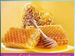 health and beauty benefits of honey - Sachi Shiksha