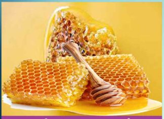 health and beauty benefits of honey - Sachi Shiksha