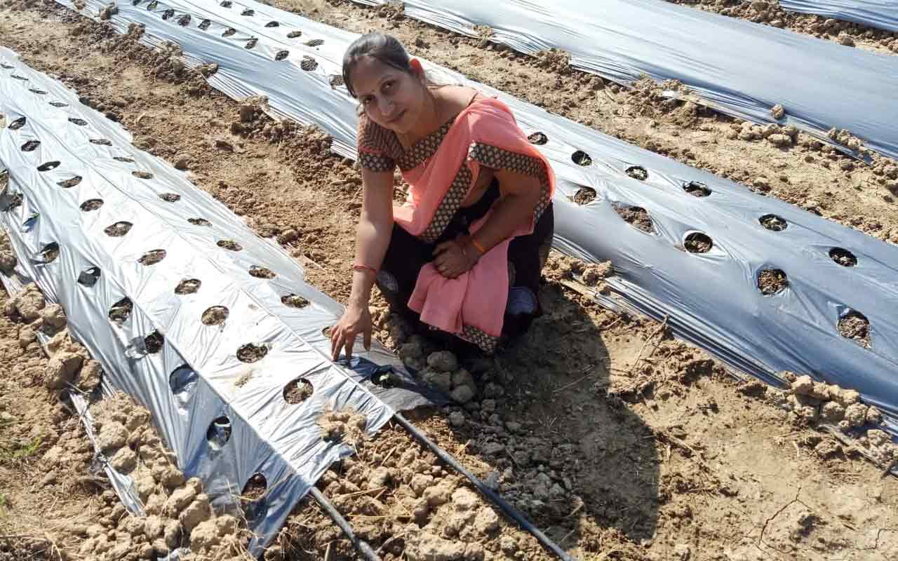 Lakshmi khandelwal - organic farming - Sachi Shiksha