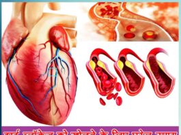 Home Remedies to Treat Heart Blockage in Hindi - Sachi Shiksha