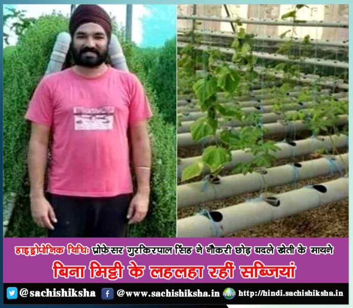 Moga ex-lecturer turns progressive farmer, grows Brahmi using hydroponics - Sachi Shiksha News