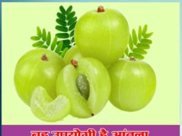 Amla Ke Fayde in Hindi - Sachi Shiksha Hindi