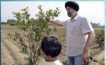 Left America and started natural farming in Mohali - Charandeep Singh