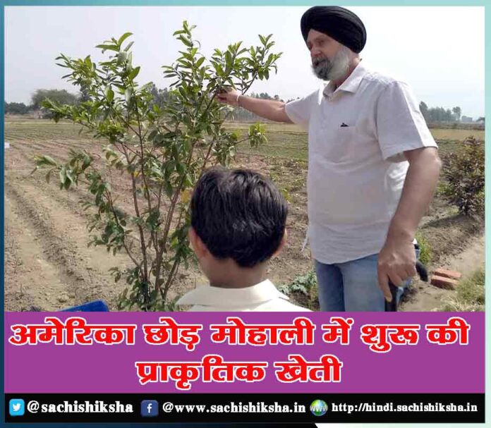 Left America and started natural farming in Mohali - Charandeep Singh