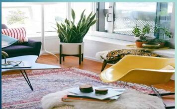 Home decor plants will enhance the beauty of the corners of the house