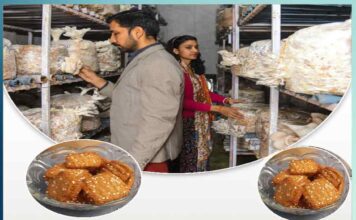 आॅयस्टर की खेती में मिसाल बनी शेखावत फैमिली Shekhawat family became an example in oyster farming