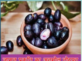 Jamun is a priceless gift of nature