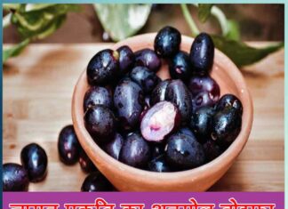 Jamun is a priceless gift of nature