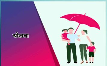 Term Insurance: The bread, clothes and house of the family will always be safe
