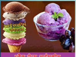 Black Grapes Ice Cream