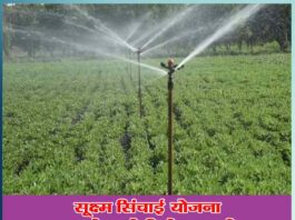 micro irrigation scheme