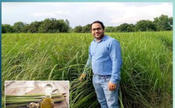 लेमन ग्रास की खेती कर बनाई अलग पहचान Different identity created by cultivating lemon grass