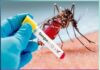 stay away from dengue mosquito