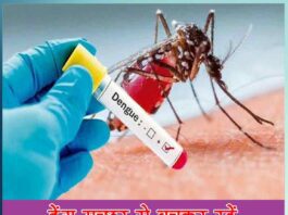 stay away from dengue mosquito