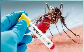 stay away from dengue mosquito