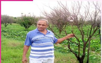 Leaving business and earning a name from integrated farming