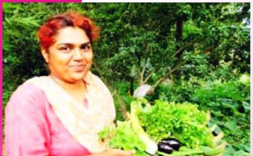 Better species of brinjal prepared after years of research