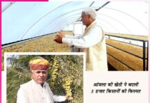 Icon of organic farming and marketing Kailash Choudhary