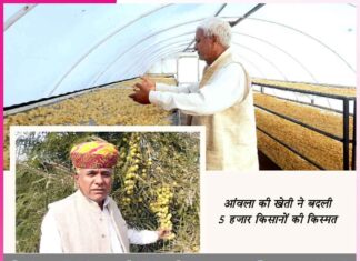 Icon of organic farming and marketing Kailash Choudhary