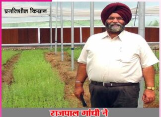 Rajpal Gandhi gave new dimension to Stevia cultivation