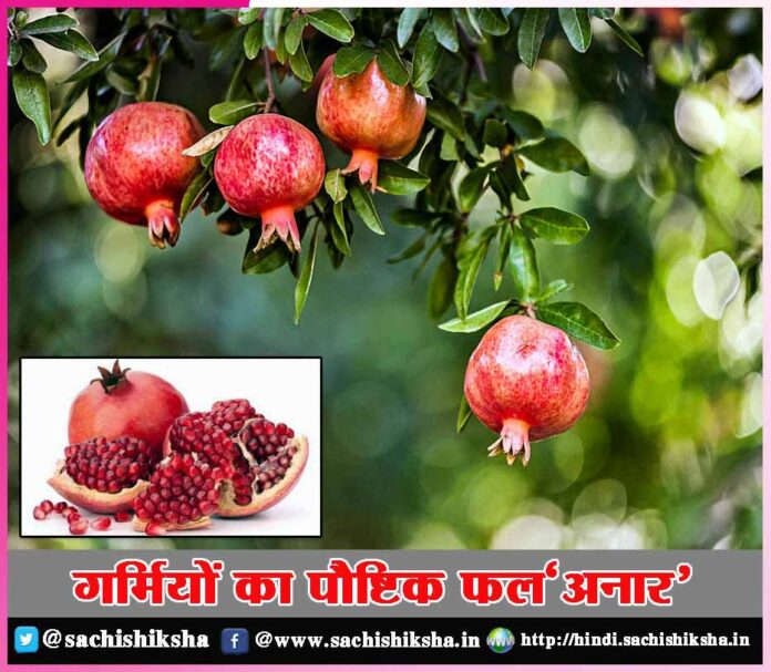 Nutritious fruit of summer 'Pomegranate'