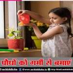 protect plants from heat