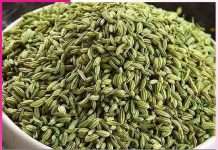 Great properties are hidden in fennel -sachi shiksha hindi