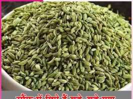 Great properties are hidden in fennel -sachi shiksha hindi