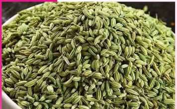 Great properties are hidden in fennel -sachi shiksha hindi