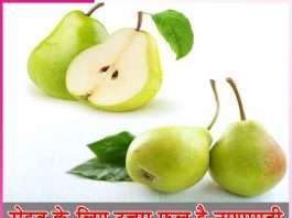 Pear is the best fruit for health -sachi shiksha hindi