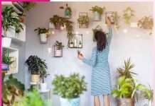 decorate your home with plants -sachi shiksha hindi