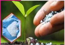 Identify fake and adulterated fertilizers -sachi shiksha hindi
