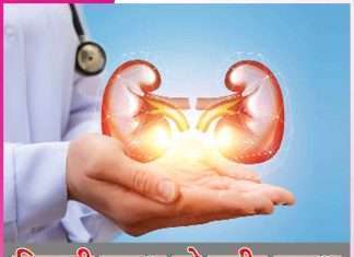 healthy kidney healthy body -sachi shiksha hindi