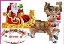 Christmas festival of love and brotherhood -sachi shiksha hindi