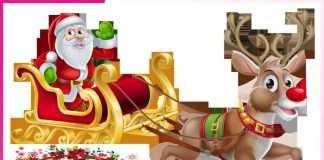 Christmas festival of love and brotherhood -sachi shiksha hindi