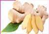 Ginger is home remedy for many diseases -sachi shiksha hindi