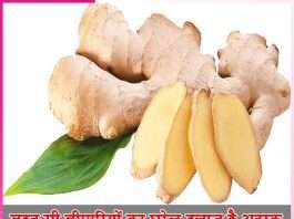 Ginger is home remedy for many diseases -sachi shiksha hindi