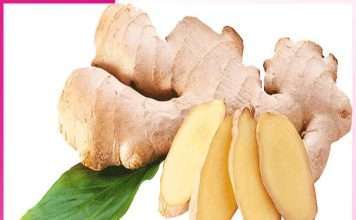 Ginger is home remedy for many diseases -sachi shiksha hindi