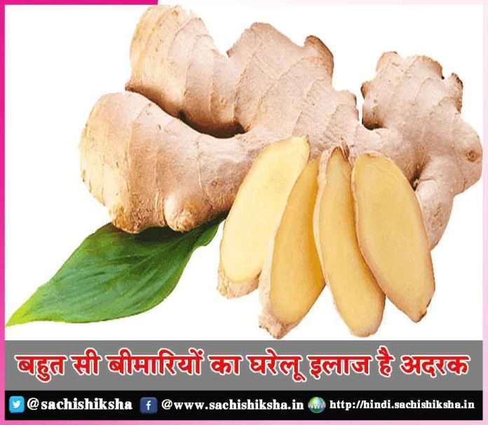 Ginger is home remedy for many diseases -sachi shiksha hindi