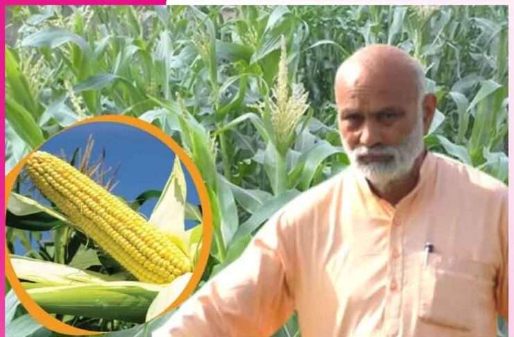 Father of Baby Corn