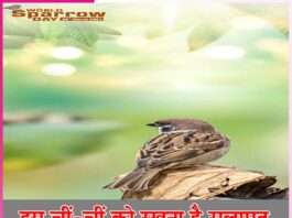 World Sparrow Day -sachi shiksha hindi