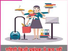 housewife manager -sachi shiksha hindi