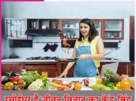 The kitchen is the center of life science -sachi shiksha hindi