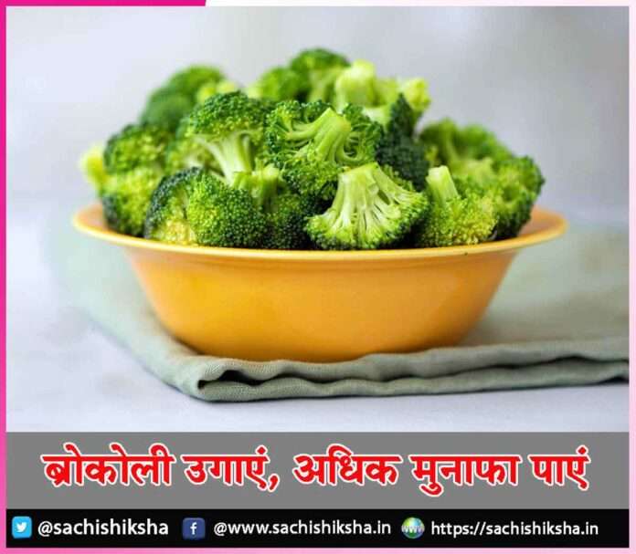 broccoli Benefits -sachi shiksha hindi