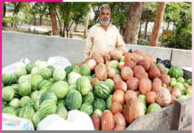 organic cucumber -sachi shiksha hindi